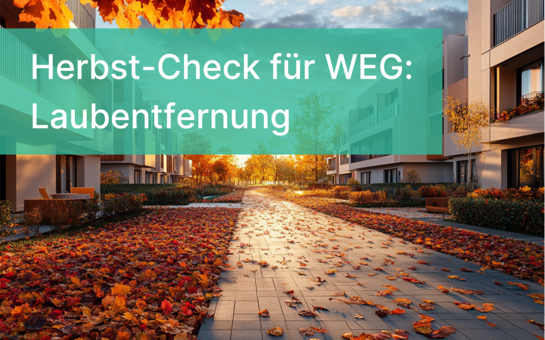 Herbstcheck für die WEG: Laubentfernung und Gehwegsicherung leicht gemacht