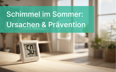 Schimmelgefahr im Sommer: Ursachen erkennen, Schäden vermeiden