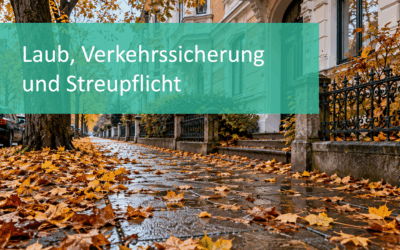 Laub, Verkehrssicherung & Streupflicht: Was Eigentümer im Herbst wissen müssen